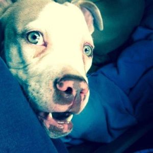 Meet your Posher, Ryann